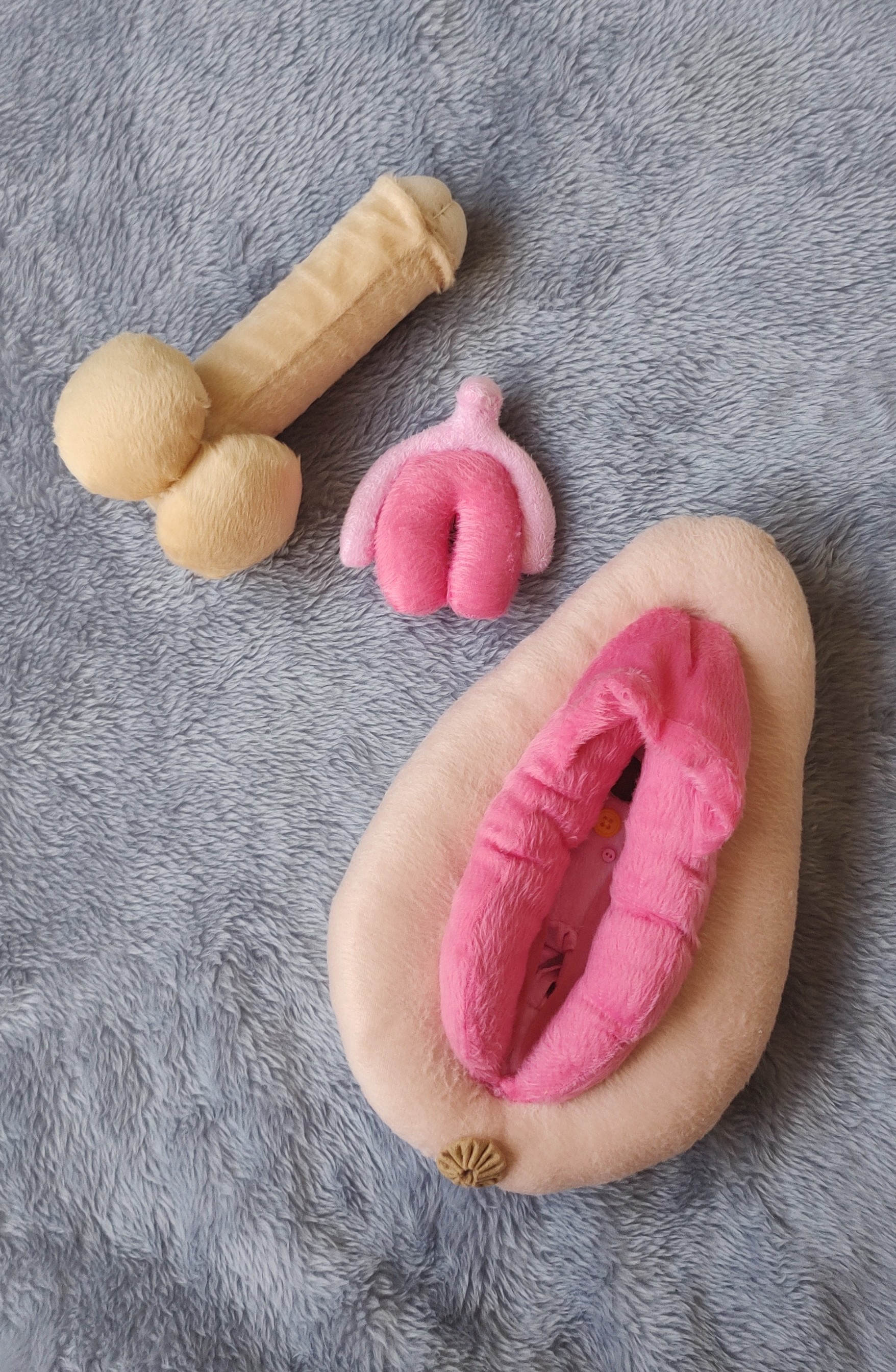 Kit Modelo Anatômico Vulva Grande e Sistema Masculino Pelúcia e feltro