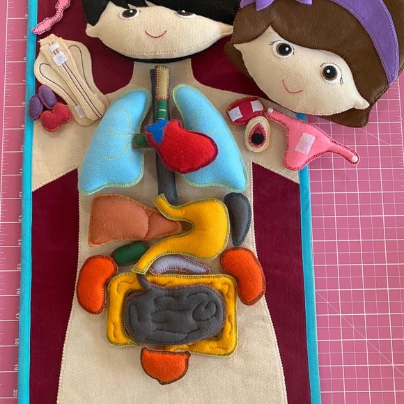 Corpo Humano Menino/menina
