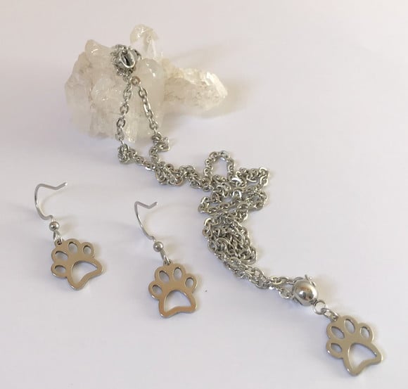Conjunto Brincos e Corrente com Pingente em Aço Inox Pet