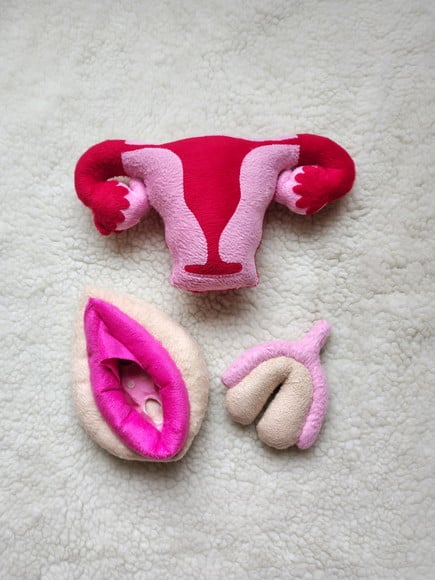 Kit Útero e Vulva Clássica Pelúcia Modelo Anatômico Didático