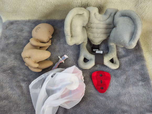 Kit Bebê e Pelve Didática Treinamento Parto Obstetrícia Pelúcia