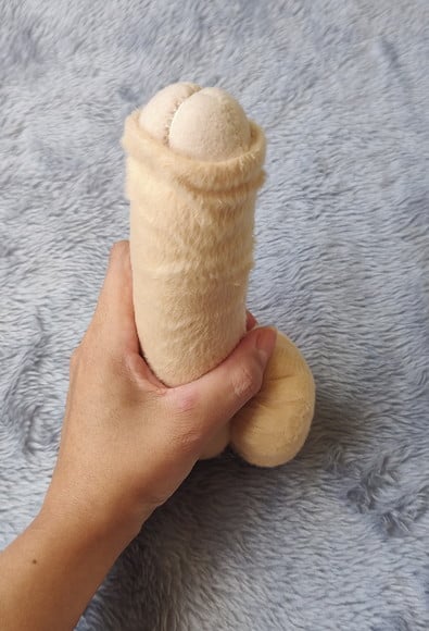 Sistema Reprodutor Masculino Pelúcia Feltro Modelo Anatômico